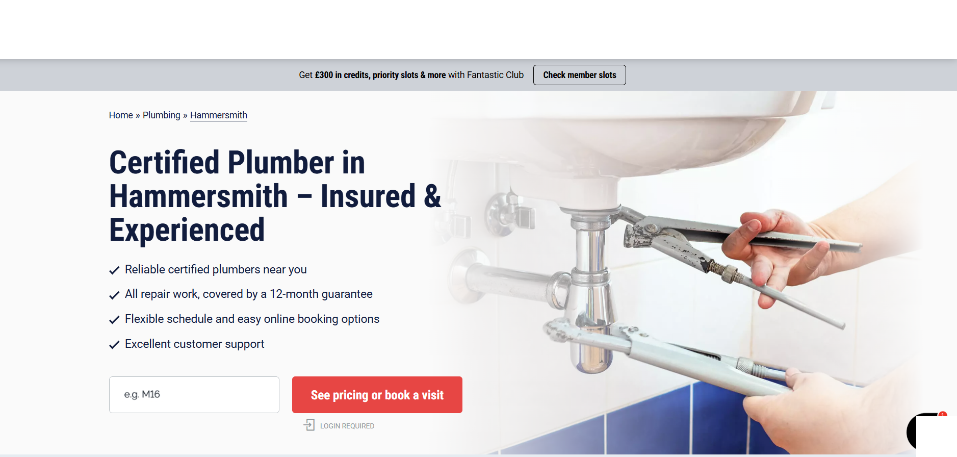 Plumber website